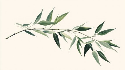 Delicate branch with leaves