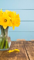 Yellow daffodils in vase on wooden table against teal wall