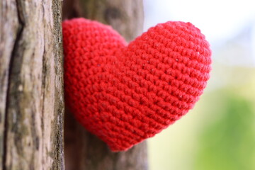 A small red knitted heart is hung from a tree branch, symbolizing love and affection