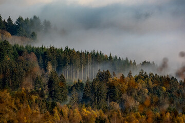 Brume au-dessus d'une forêt en automne