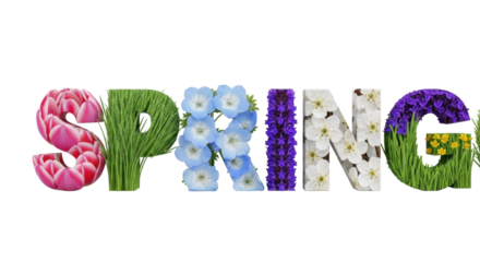 3D 'SPRING' text filled with pink tulips, dewy grass, blue Nemophila, white blossoms, purple salvia. transparent background, soft lit, macro concept of spring renewal and natural beauty