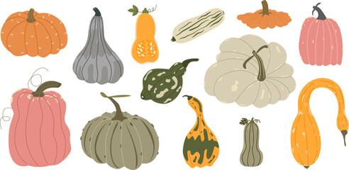 Pumpkin set.Autumn illustration of different pumpkins and squashes. Seasonal pumpkin collection for decor, Thanksgiving, farm design.
