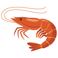 cooked shrimp on white background