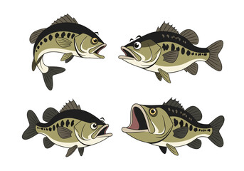 Four largemouth bass swimming together angling freshwater fishing