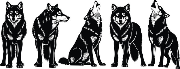 Detailed black and white wolf illustrations, various poses including standing, sitting, and howling, wild animal vector art, realistic nature wildlife design elements