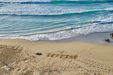 Turquoise shore break and empty sand, Fuerteventura, Canary Islands
