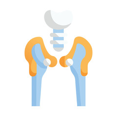 Pelvic bone structure diagram in a flat graphic style