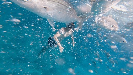 Snorkeler among fish and bubbles in blue sea, Isla de Lobos