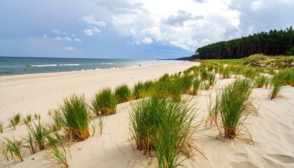Sandy beach meets the sea