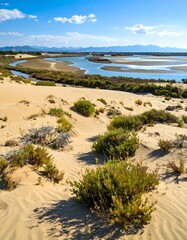 Sandy coastal landscape with a river