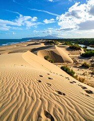 Sandy dunes meet the ocean