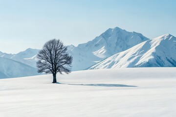 Fototapeta premium Solitary Tree in Snowy Mountain Landscape