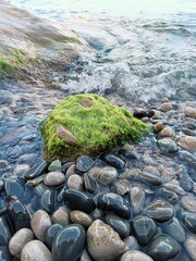 Sea waves wash a beautiful stone covered with moss
