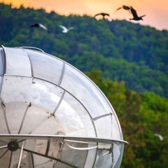Reflective orb, sunset backdrop, birds in flight