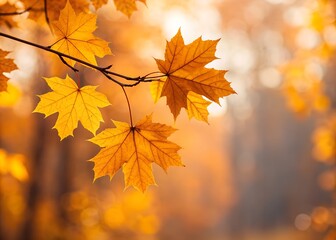 Autumn Leaves on Branch Warm Sunlight Background