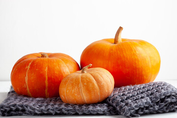 Autumnal Still Life with Pumpkins