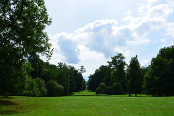 A beautiful long and wide grassy park alley, flanked by rows of tall, mature green trees under a bright summer sky