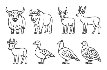 Fototapeta premium Collection of outlined animals including deer, bovines, birds, and other wildlife