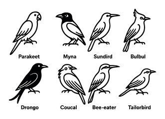 Fototapeta premium Illustrated bird icons featuring parakeet, myna, sunbird, bulbul, and more