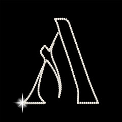 Capital Letters of English alphabet. luxury and elegant font glamour french style