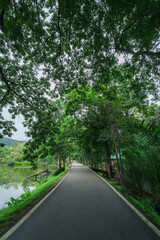 Obraz premium landscape lake views at Ang Kaew Chiang Mai University in nature forest Mountain atmosphere rain fog sky abstract with white clouds. cloudy sky background