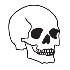Hand drawn vector doodle of a Halloween skull