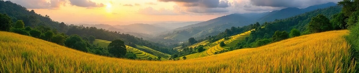 Obraz premium Abundant Golden Rice Terraces Cascade Down Lush Balinese Hillsides under a Vibrant Tropical Sky, showcasing breathtaking natural beauty and a fertile agricultural landscape.