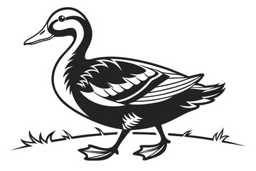 Fototapeta premium Stylized black and white duck walking on grass
