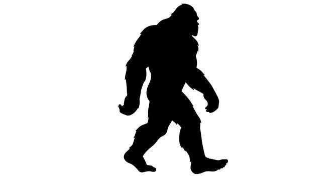 Bigfoot Silhouette Walking,  Cryptozoology Creature Profile