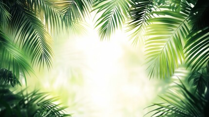 Tropical palm leaves background