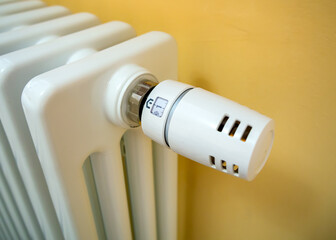 Thermostatic temperature controller on a heating radiator