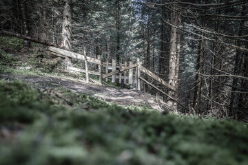 Holzzaun mit Gatter mitten im Wald