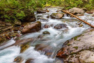 Avalanche Creek 
Avalanche Lake Trail
Glacier National Park
Montana 
August 2025