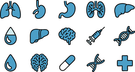 Collection of human internal organs isolated on white background for medical use 