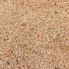 Close-up of fine wood shavings on a surface. Shavings are light brown and have a smooth texture