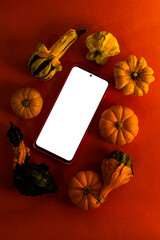 Vertical shot of mobile phone with a blank white screen, placed amidst a variety of colorful autumn gourds and pumpkins on a vibrant orange background.