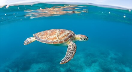 Fototapeta premium Sunbeams and Glowing Flowers Line a Serene Forest River