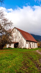 Rustic white barn with red roof, autumnal landscape