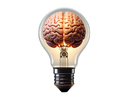 Isolated Light Bulb with Brain Halves - Powered by Adobe