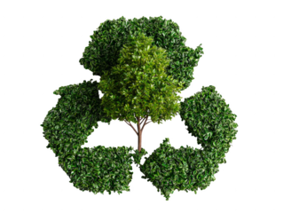 A tree is surrounded by a circle of bushes, with the tree in the center