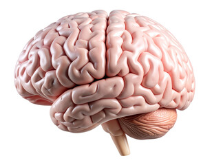 Side View of Stylized Blue Brain with Neural Glow Effect, Futuristic Concept, Isolated PNG