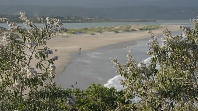 A stunning 4K 30fps video of Lookout Beach, Plettenberg Bay, Western Cape, South Africa, showcasing dramatic waves, golden sand, lush greenery, and moody sunset skies along a breathtaking coastline.