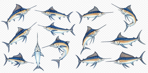 Collection of blue marlin fish illustrations in various poses and angles on a transparent background.