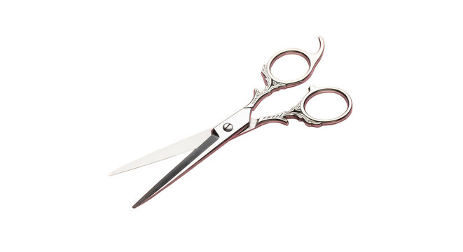 Ornate hairstyling scissors gleam on black