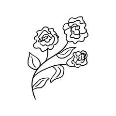 Vector hand drawn illustration of blooming roses with leaves. Simple floral line drawing