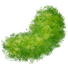 Green grass mound, shrubs illustration