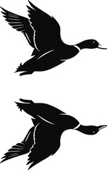 Flying Duck Silhouette with Water Reflection, Black and White Vector Illustration, Wild Bird in Motion, Isolated Animal Graphic Design