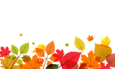 Colorful autumn leaves border on black background vector