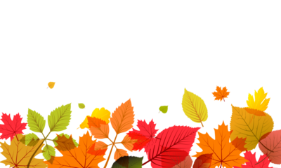 Colorful autumn leaves border on black background vector