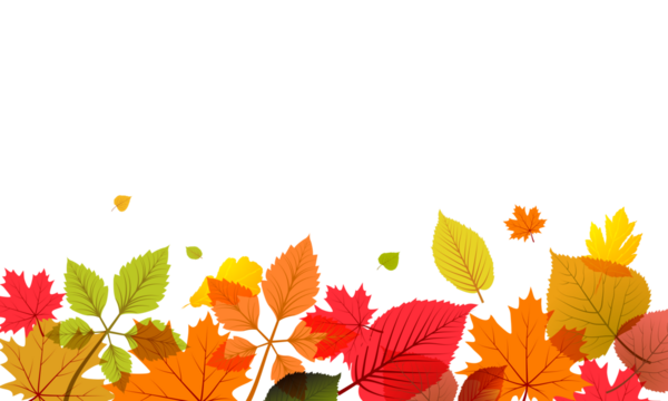 Colorful autumn leaves border on black background vector